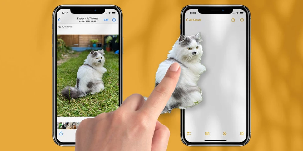 iOS 17 có những tính năng đặc biệt cho người yêu thú cưng