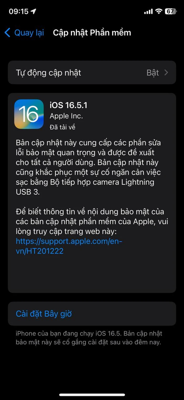 iOS16.5.1-1