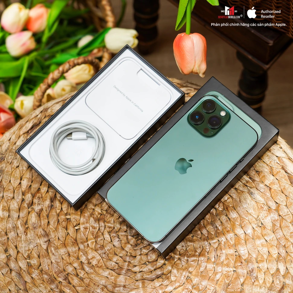 Xu hướng màu sắc iPhone được người dùng ưa chuộng