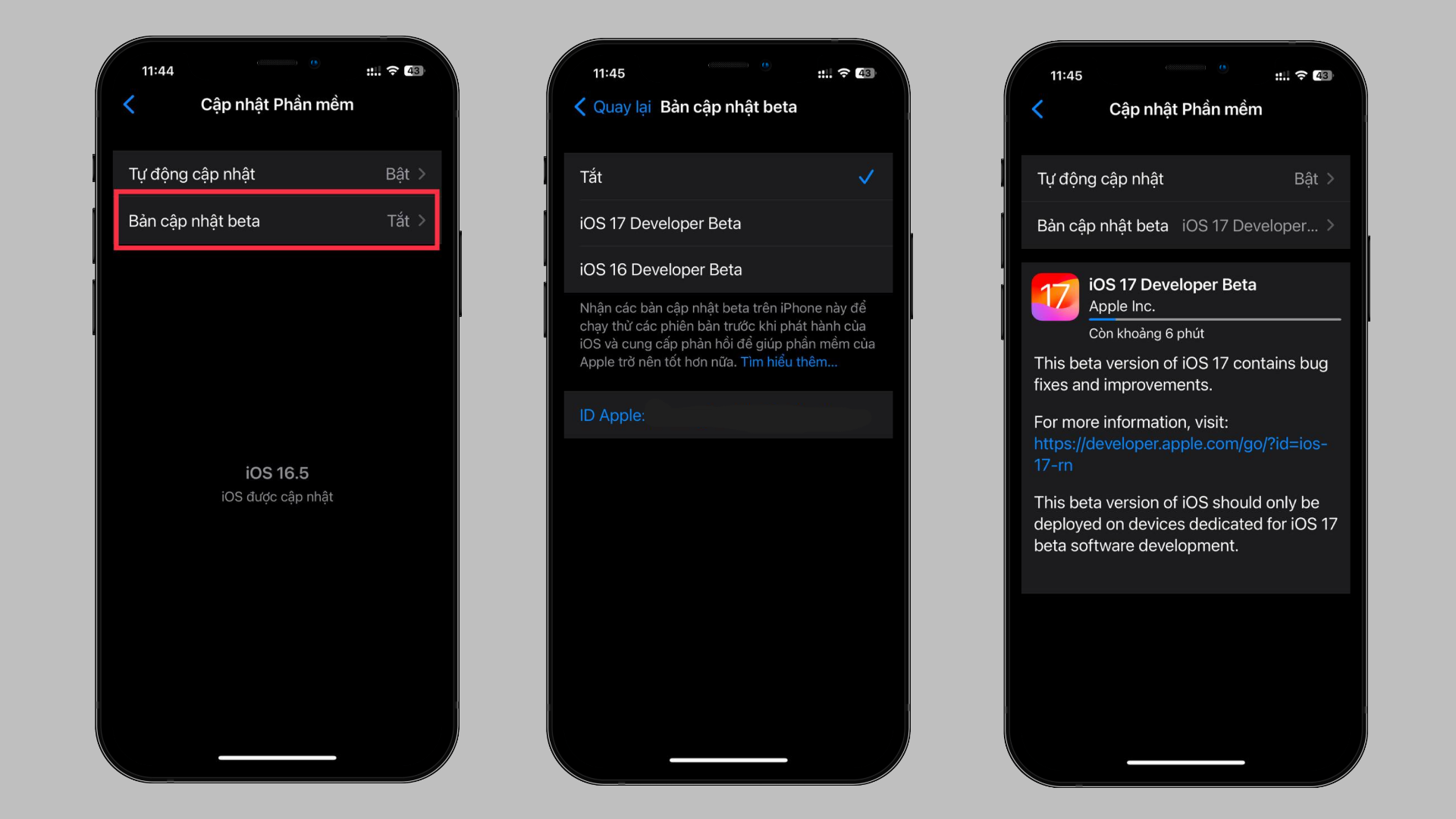  Hướng dẫn cài đặt iOS 17 Beta trên iPhone