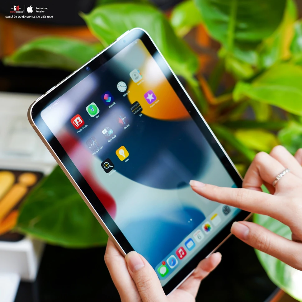 iPad Mini là gì? Cách chọn iPad Mini tốt