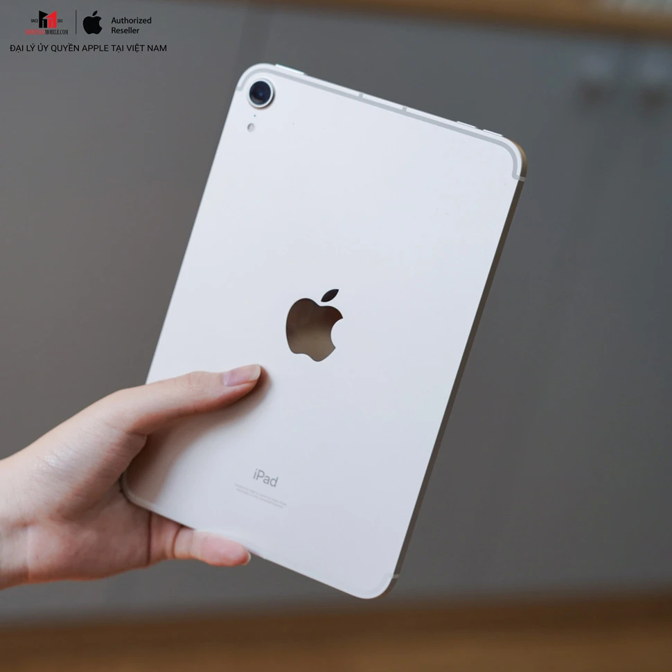 iPad Mini là gì? Cách chọn iPad Mini tốt