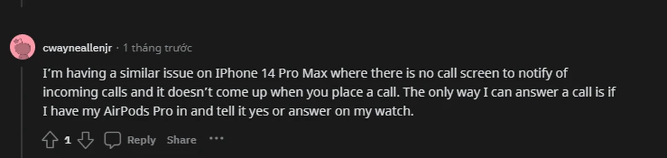 ​ iOS 17 Beta gây lỗi