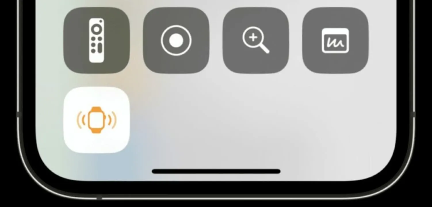 Tính năng ping my watch