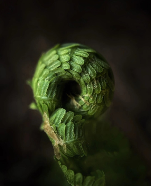 Ông hoàng iPhone với loạt tác phẩm ấn tượng