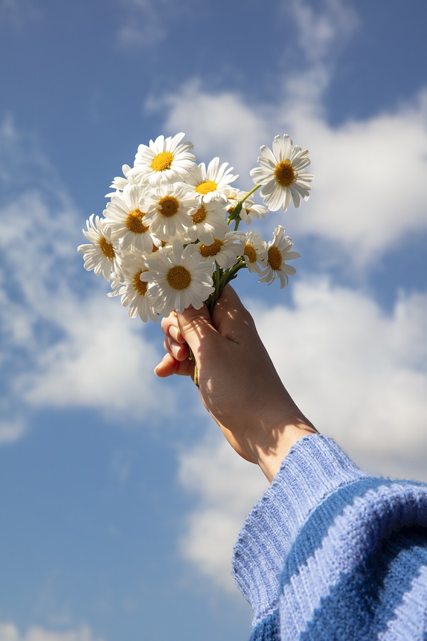 Tổng hợp hình nền đáng yêu cho iPhone 15 series