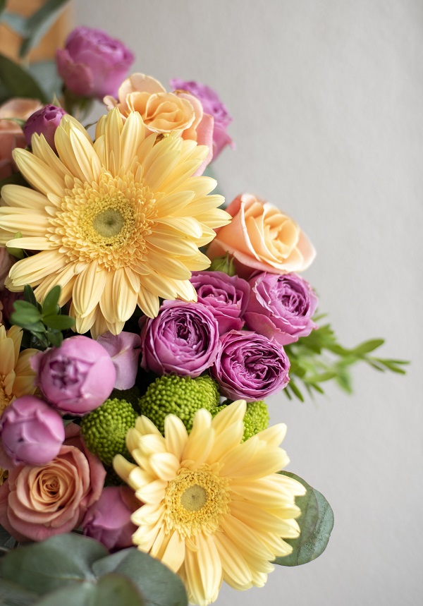 Tổng hợp hình nền đáng yêu cho iPhone 15 series