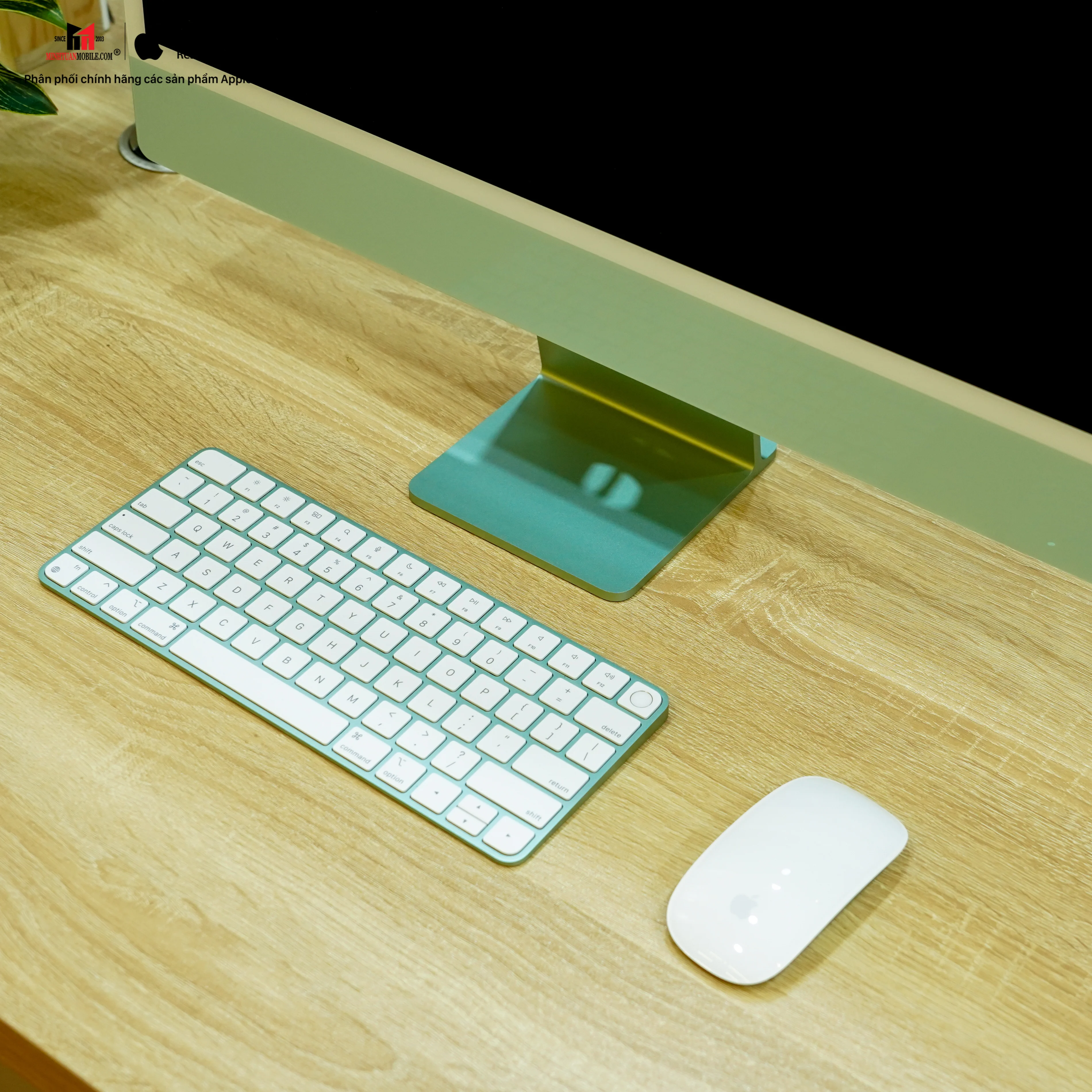 Apple cập nhật phiên bản macOS Sonama Puplic Beta 2