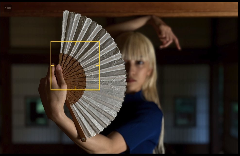 Chế độ chụp chân dung iPhone 15 Pro Max