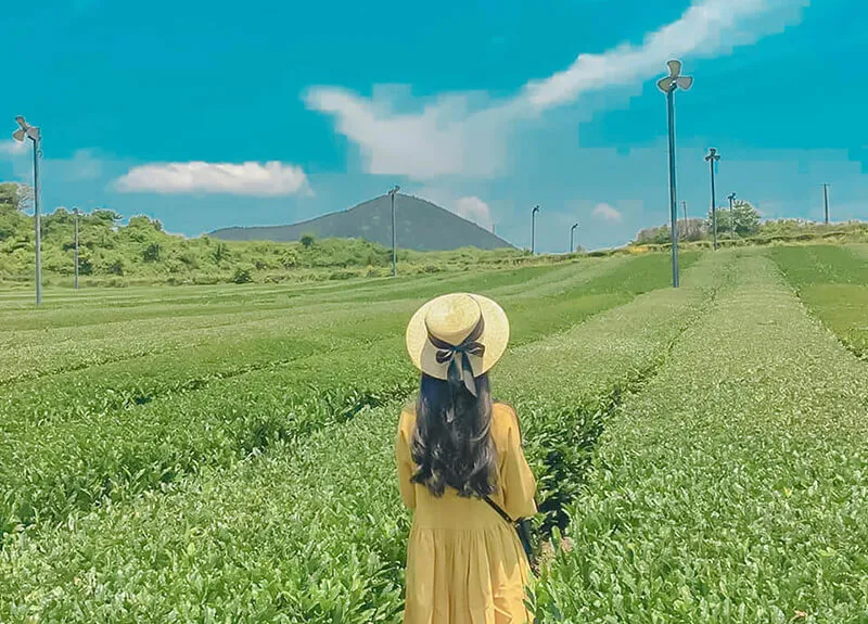 Công thức chỉnh ảnh trên iPhone không cần App