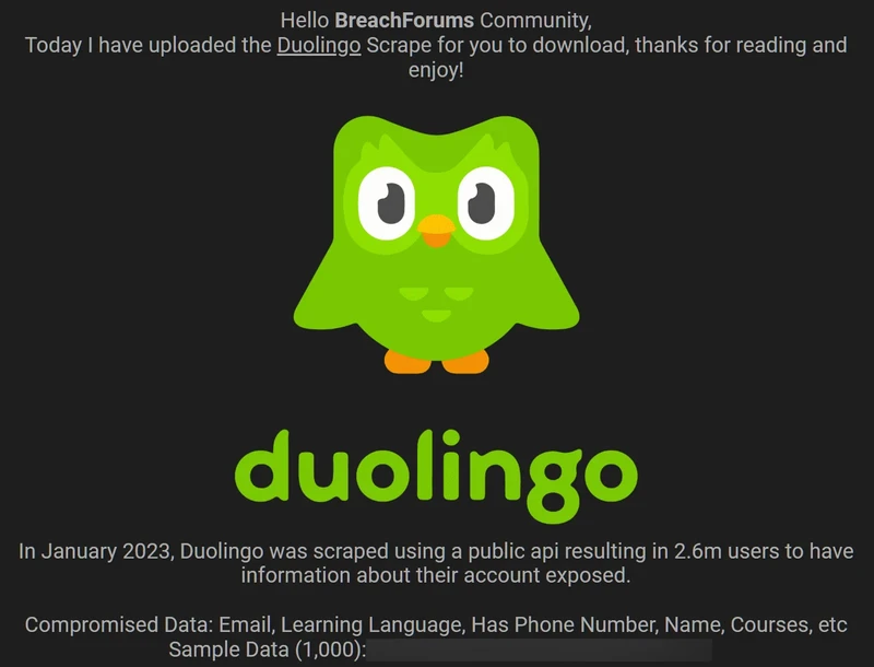Duolingo-2