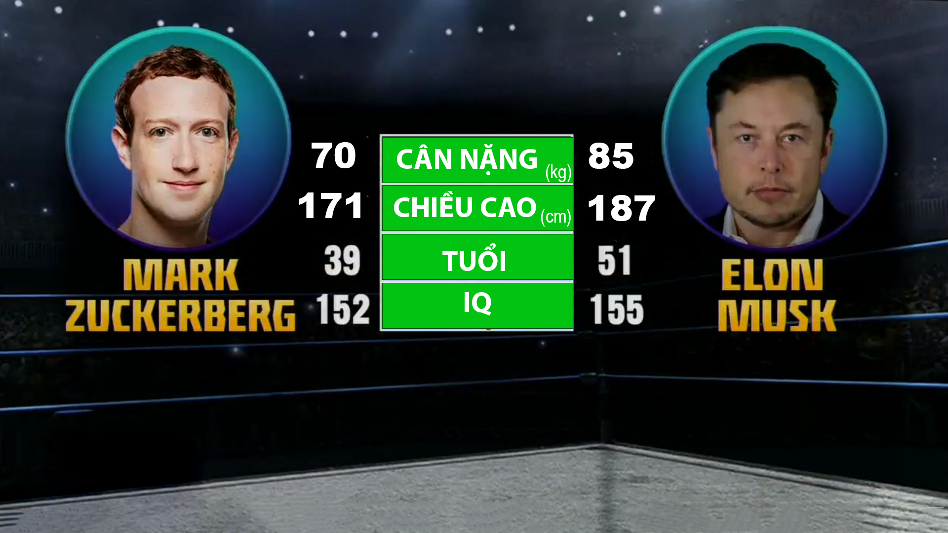 Sẽ không có trận đấu giữa Elon Musk và Mark Zuckerberg