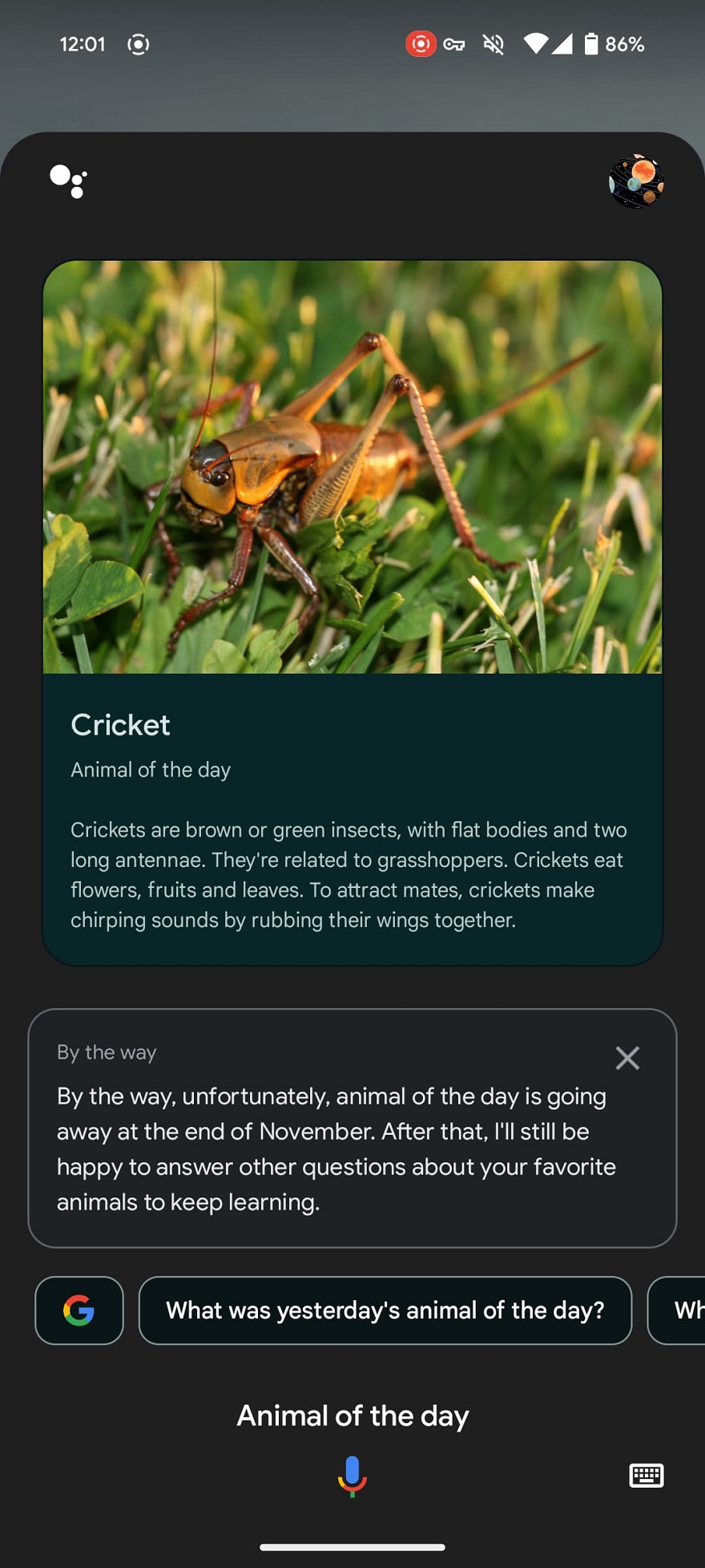 Google đã loại bỏ tính năng giúp kết nối ba mẹ và trẻ gần nhau hơn.