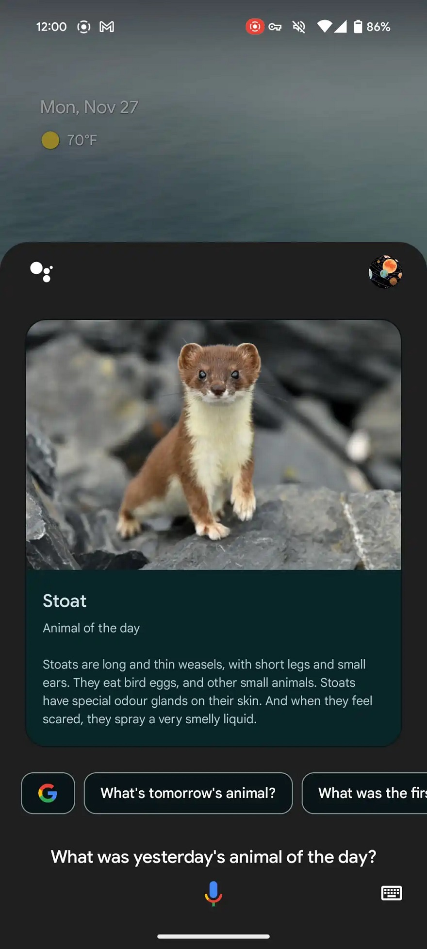 Google đã loại bỏ tính năng giúp kết nối ba mẹ và trẻ gần nhau hơn.