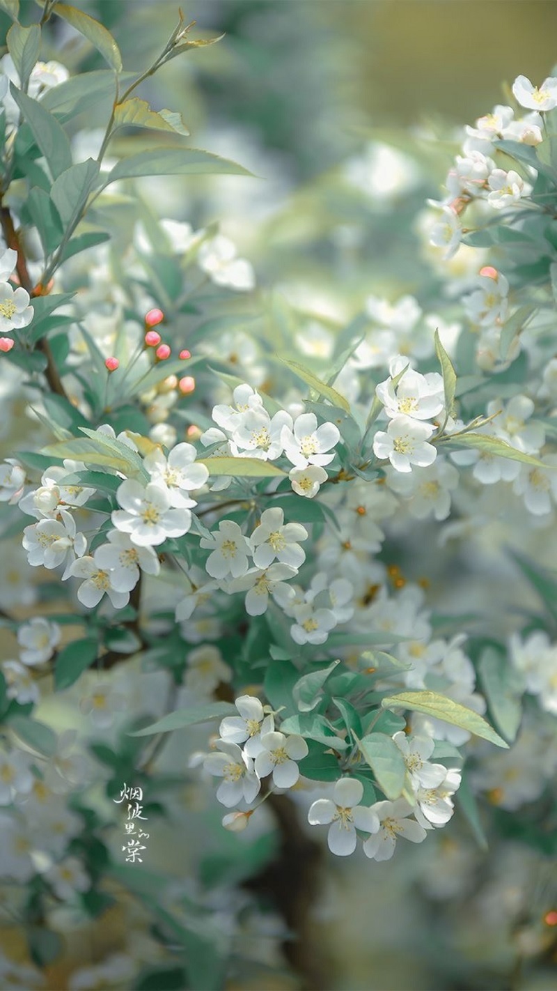 Tổng hợp cấu hình iPhone 15