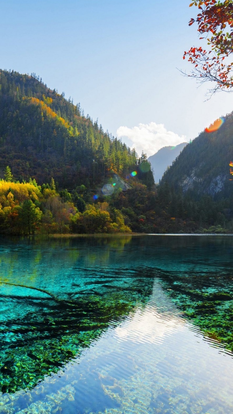 Tổng hợp cấu hình iPhone 15