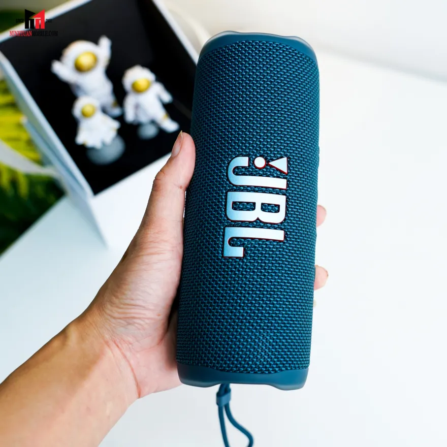 JBL Flip 6 