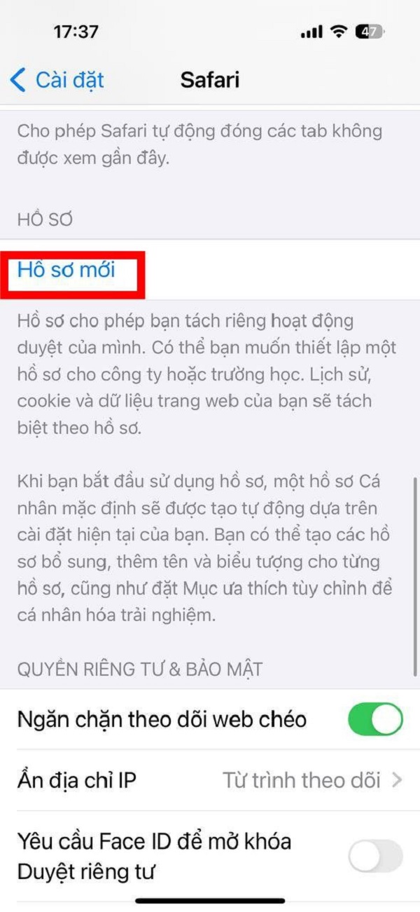 Thiết lập hồ sơ Safari trên iPhone 15 series