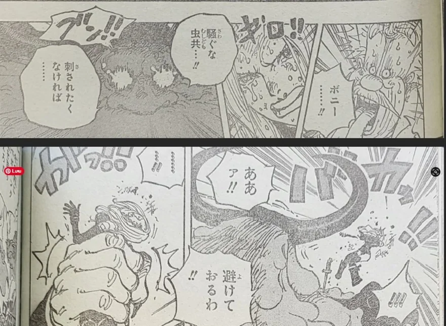 Spoiler One Piece 1095