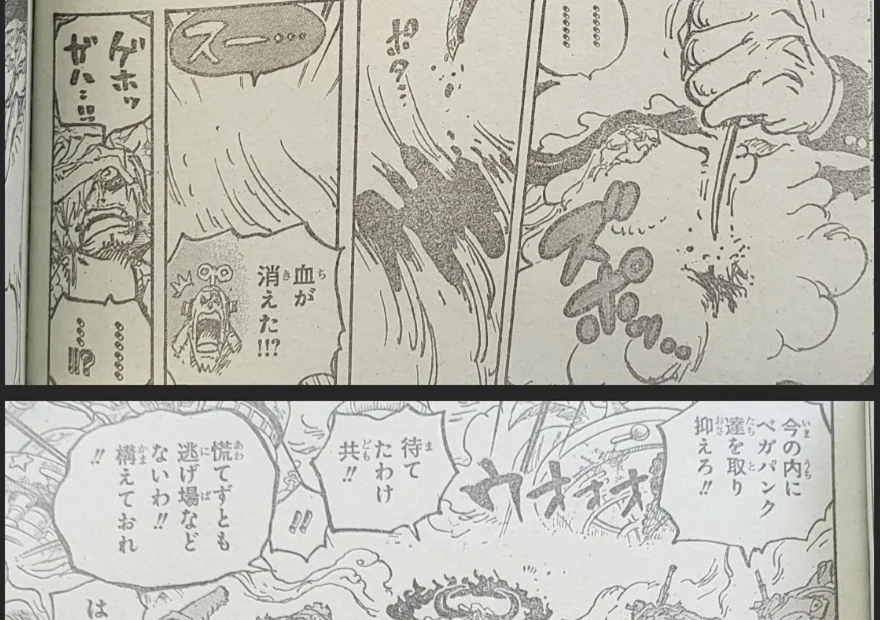 Spoiler One Piece 1095