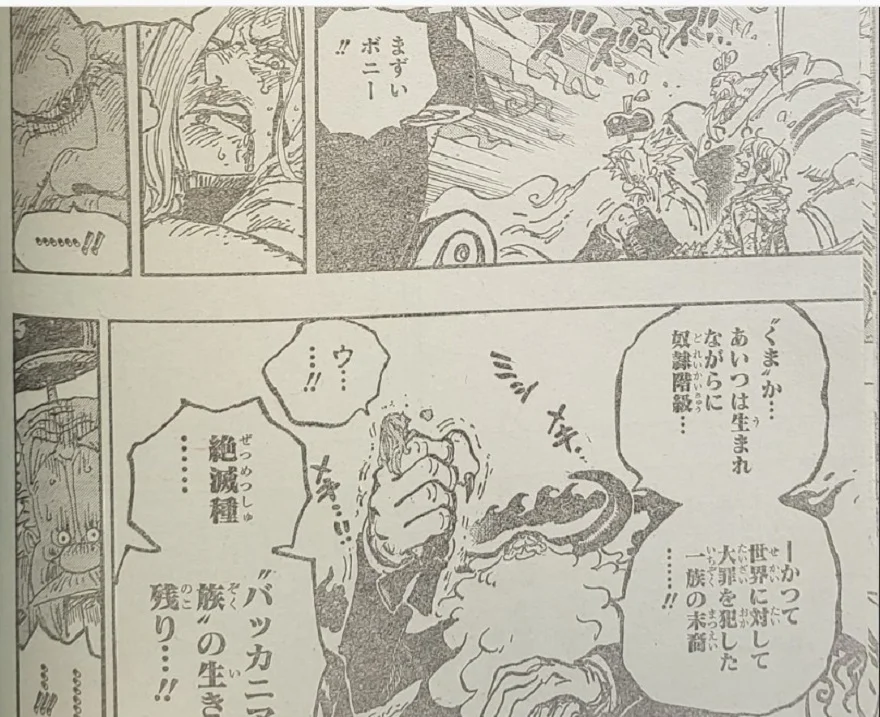 Spoiler One Piece 1095