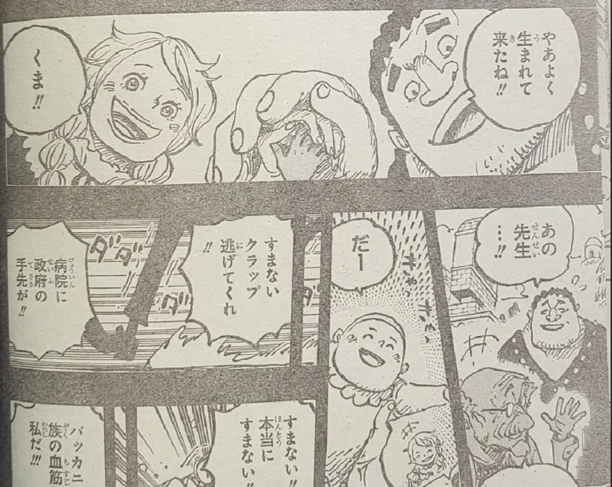 Spoiler One Piece 1095