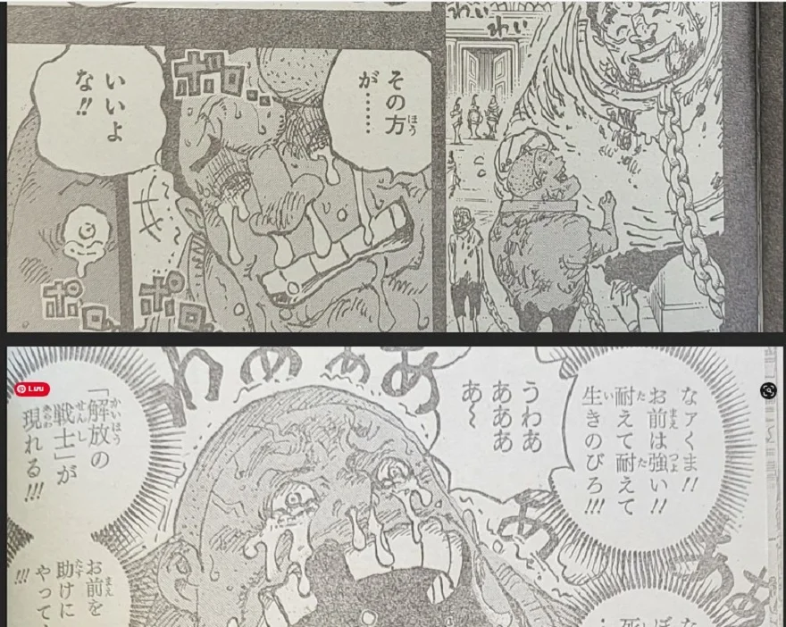 Spoiler One Piece 1095