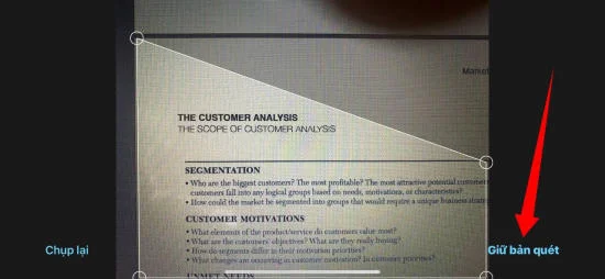 Hướng dẫn thêm ảnh, video vào Freeform trên iPhone