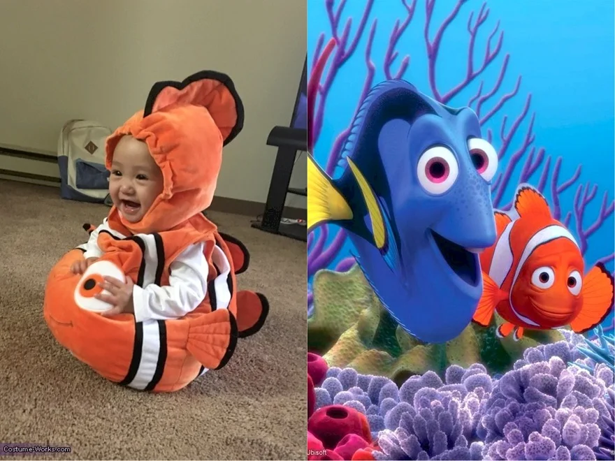 Nemo ơi con đâu rồi?