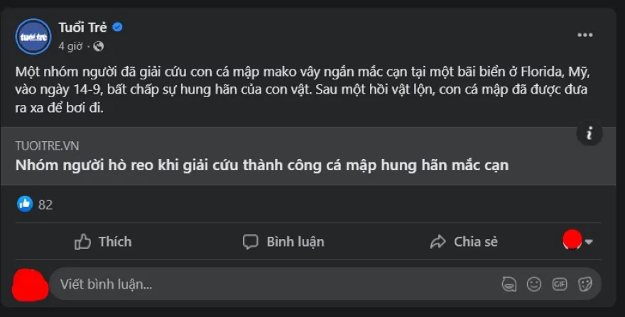 Facebook lỗi hiển thị