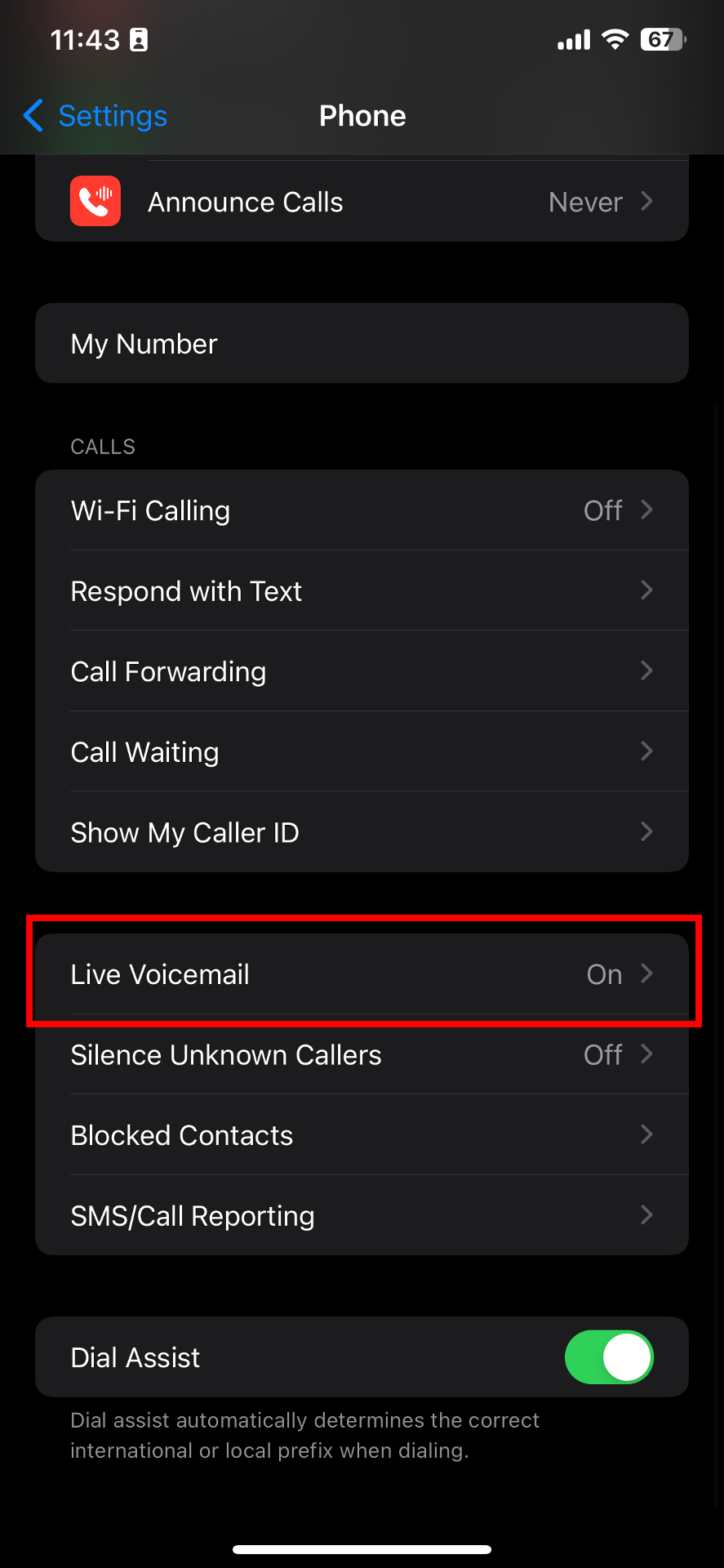 sử dụng tính năng Thư thoại trực tiếp trên iOS 17