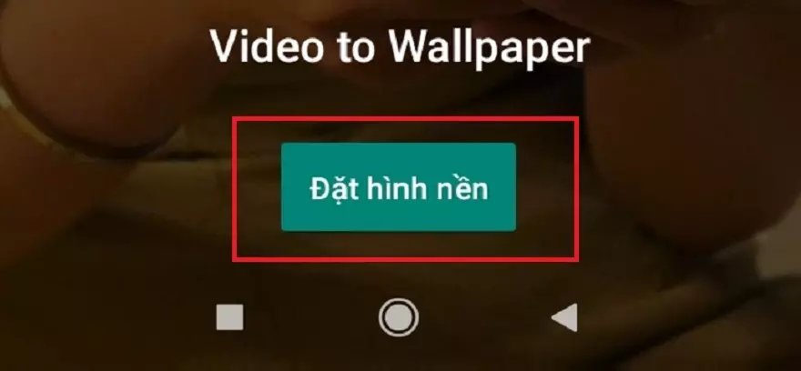 Cách cài đặt hình nền động cho điện thoại của bạn