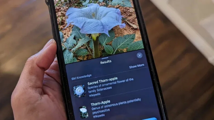 6 tính năng trên iPhone cực kỳ hữu ích cho việc cắm trại