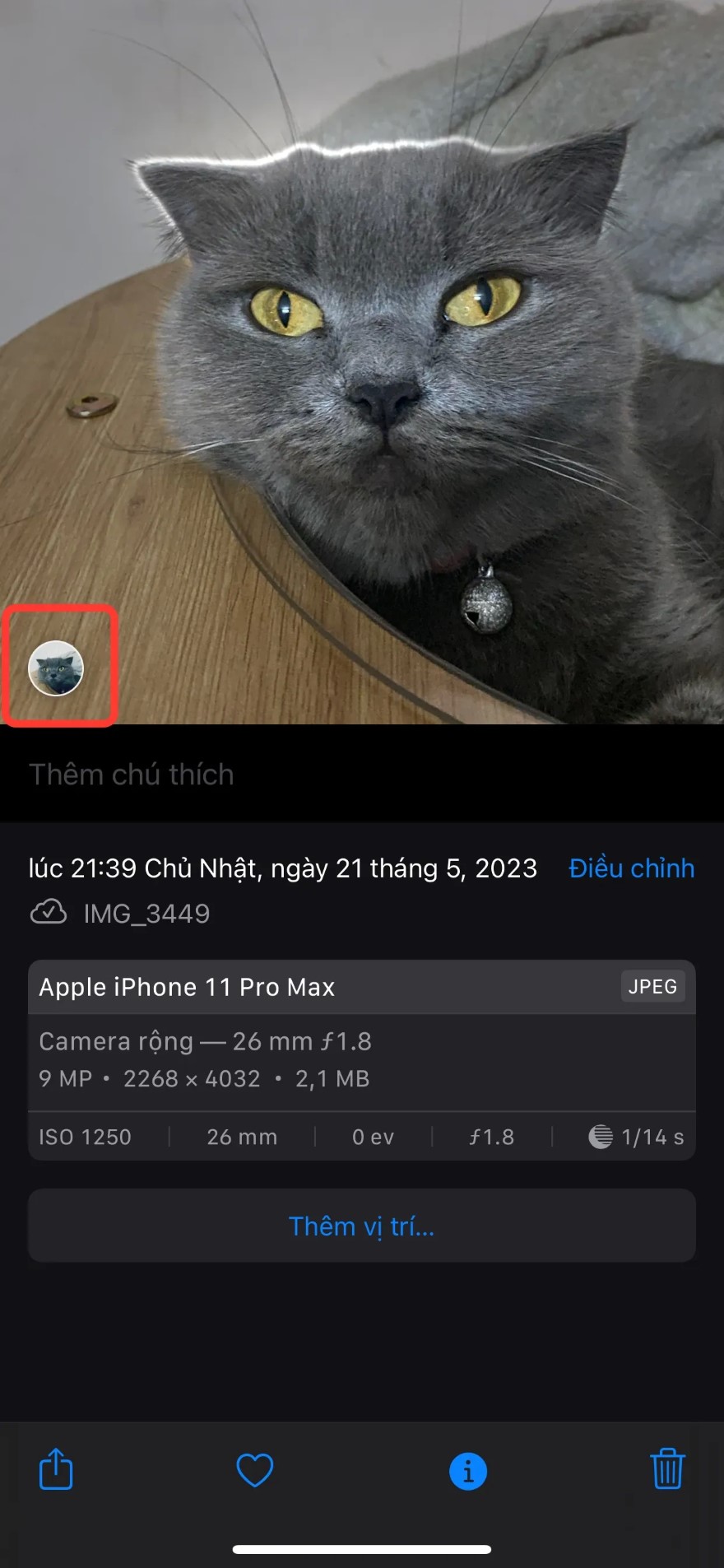 Cách gắn thẻ thú cưng trong Ảnh trên iOS 17