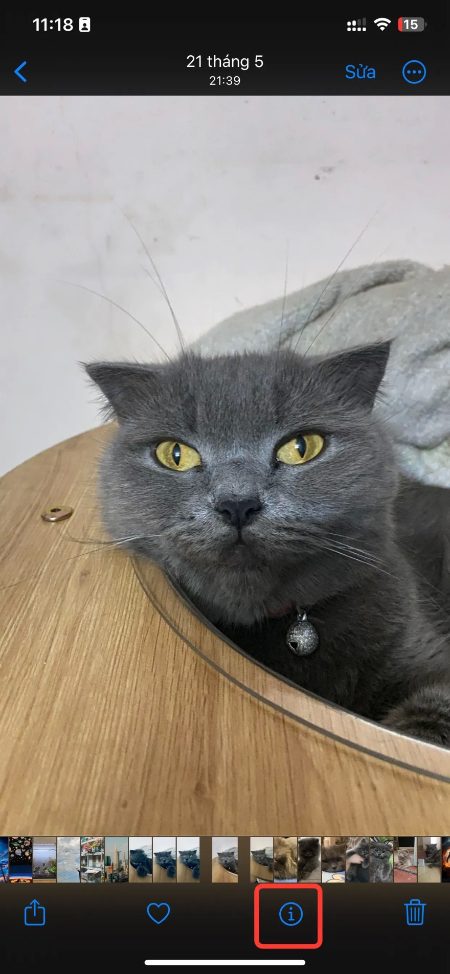 Cách gắn thẻ thú cưng trong Ảnh trên iOS 17