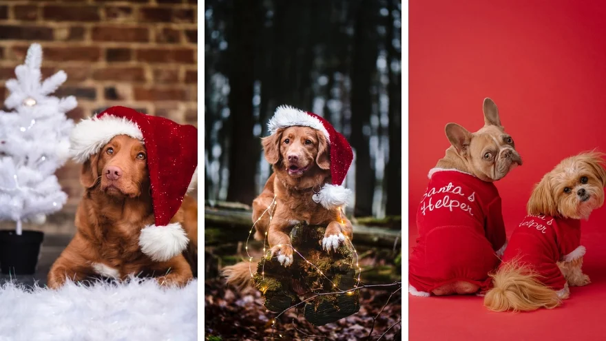 Hình nền iPhone Giáng sinh 2023