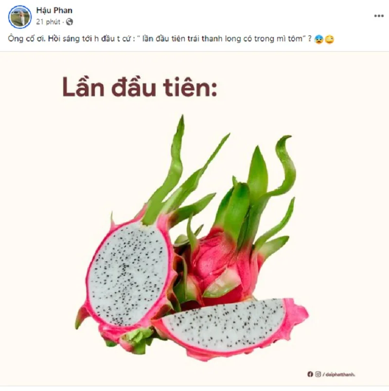 Trend trái thanh long có trong mì tôm