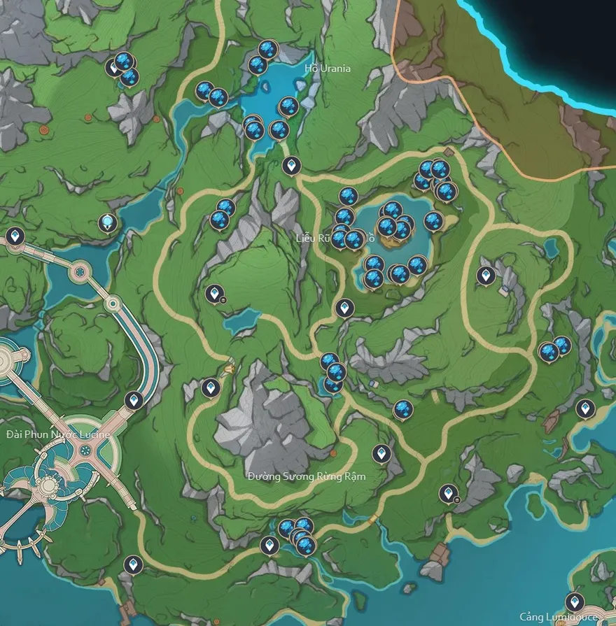 Lyly ánh sáng hồ nước