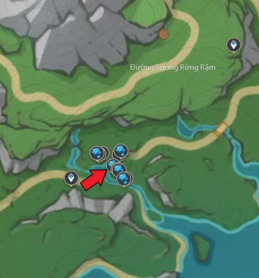 Lyly ánh sáng hồ nước