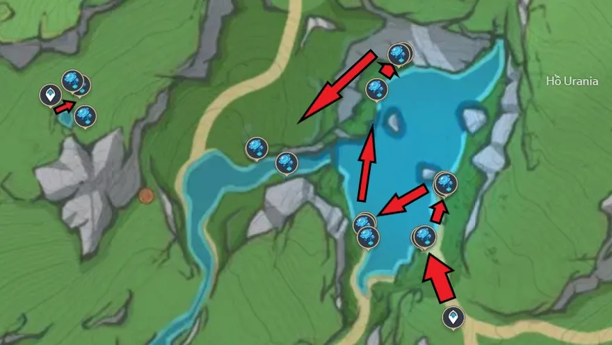 Lyly ánh sáng hồ nước