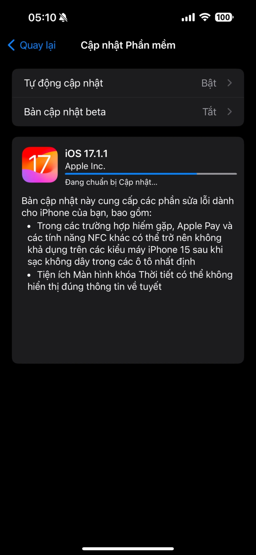 Những dòng iPhone nào nên cập nhật lên iOS 17.1.1