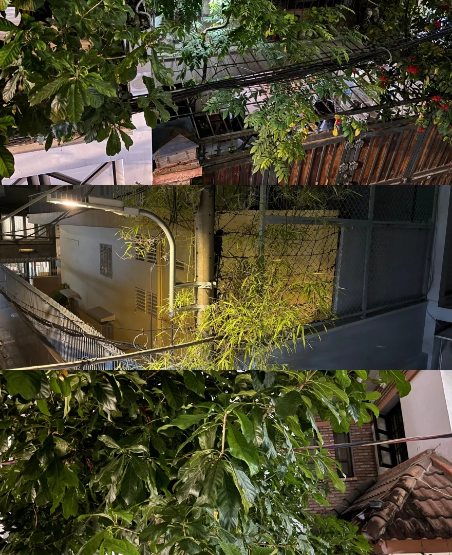 Trải nghiệm camera iPhone 15