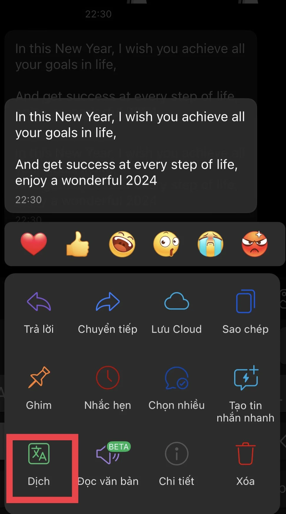 Cách dịch tin nhắn Zalo cực nhanh