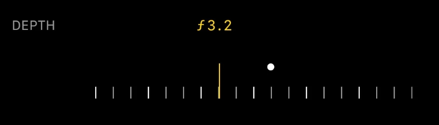 Chụp ảnh thú cưng siêu đẹp với iPhone 15