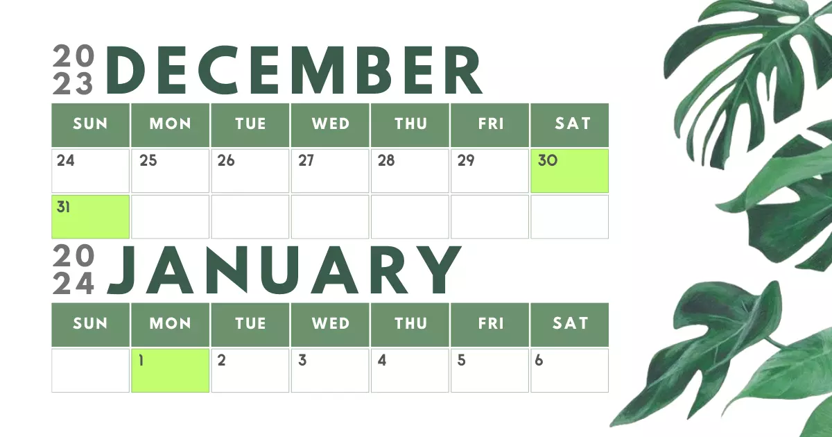 Lịch nghỉ Tết Dương lịch và Tết  m lịch chính thức năm 2024