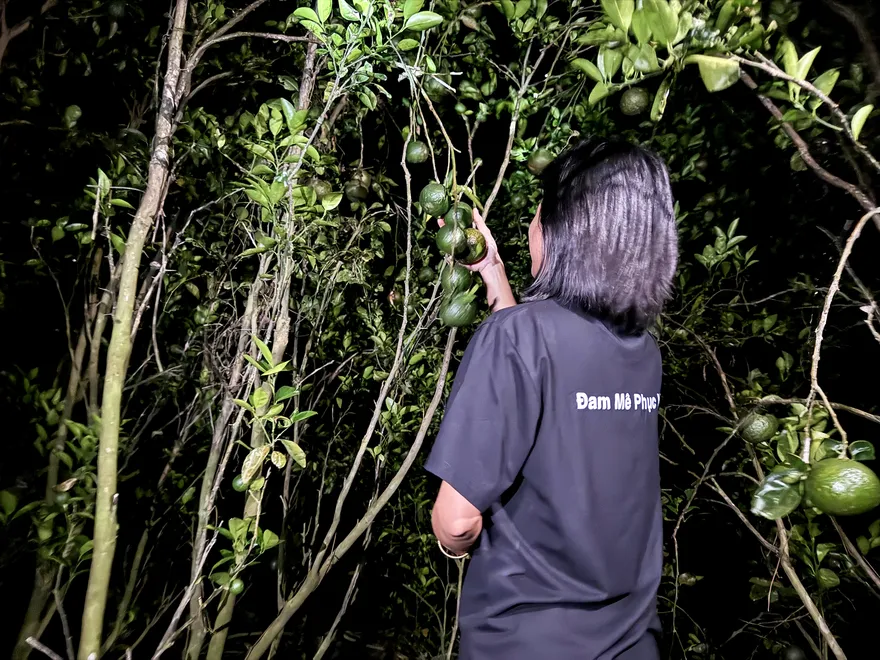 Mua hàng tặng cam