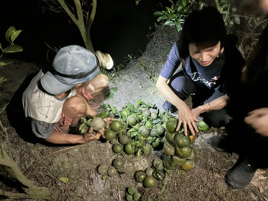 Mua hàng tặng cam