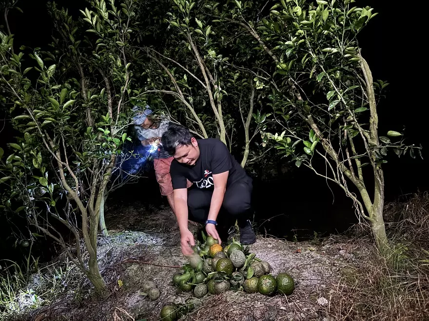 Ngay lúc này, mua hàng tặng cam sạch tại Minh Tuấn Mobile