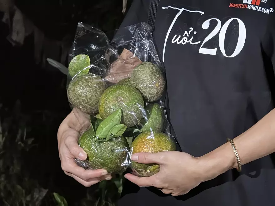 Ngay lúc này, mua hàng tặng cam sạch tại Minh Tuấn Mobile