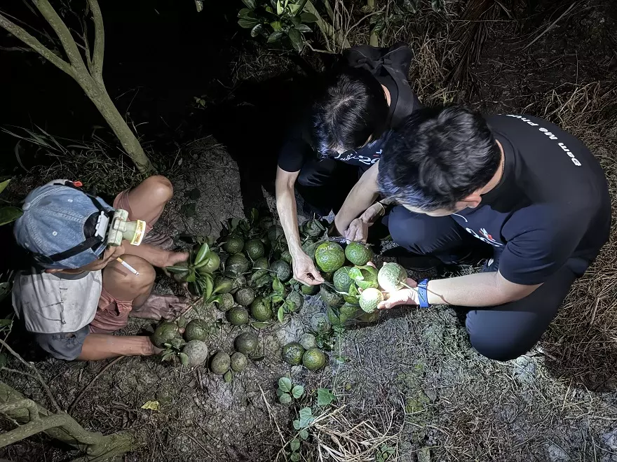 Ngay lúc này, mua hàng tặng cam sạch tại Minh Tuấn Mobile
